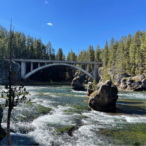 Meet your Posher, Payal - Picture 1 of 1